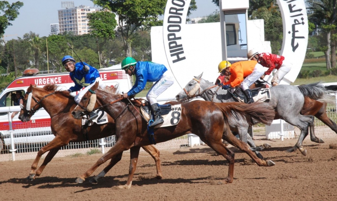 Filière équine : La Sorec sort le grand jeu pour le Meeting international du Maroc