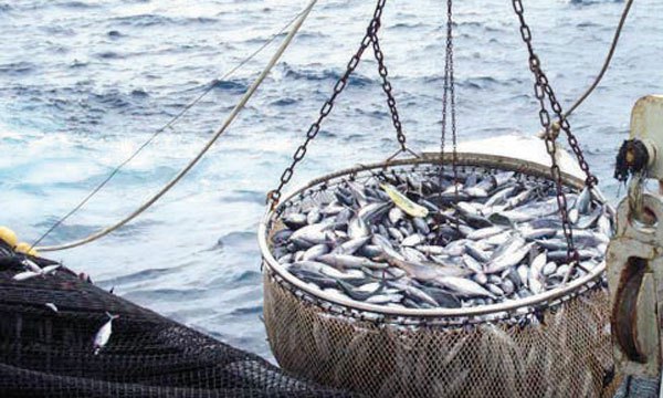 Une délégation marocaine à Moscou pour promouvoir les exportations des produits de la pêche