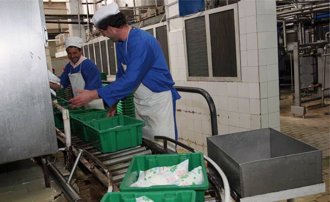 Filière laitière : L’utilisation de la poudre de lait dans toutes sortes d’aliments "ne représente aucun enjeu sanitaire"