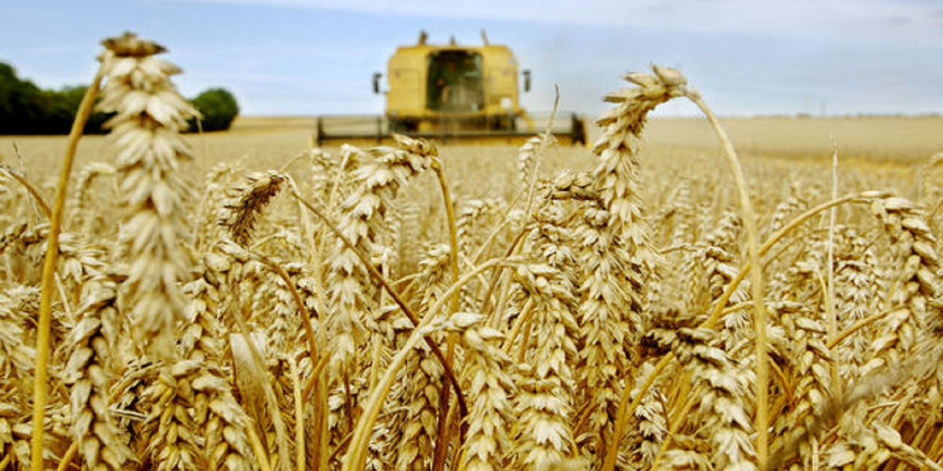 Campagne agricole 2017-2018 : Une récolte record de 103 millions de quintaux