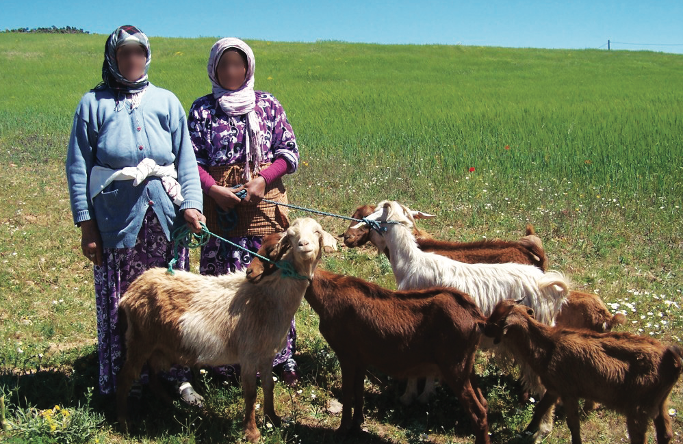 Classe moyenne agricole : Le chemin sera long