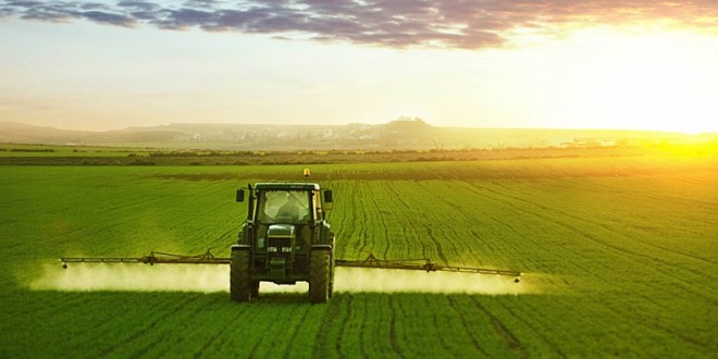 Officiel : Une campagne céréalière de 61 millions de quintaux