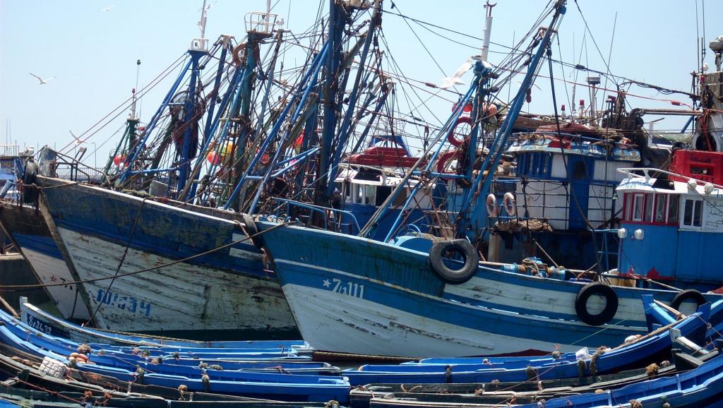 Pêche : Vers un nouveau système de pesage des captures