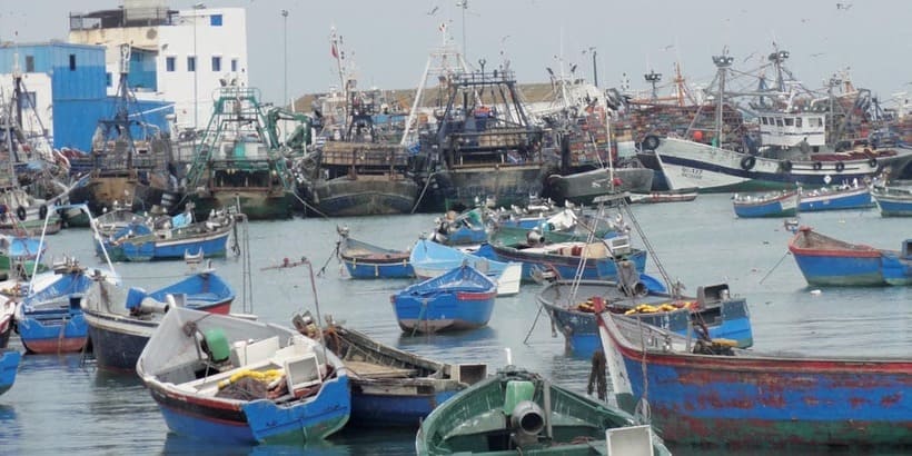 Pêche côtière : Une hausse de 9% à fin juillet - Actualité Économique