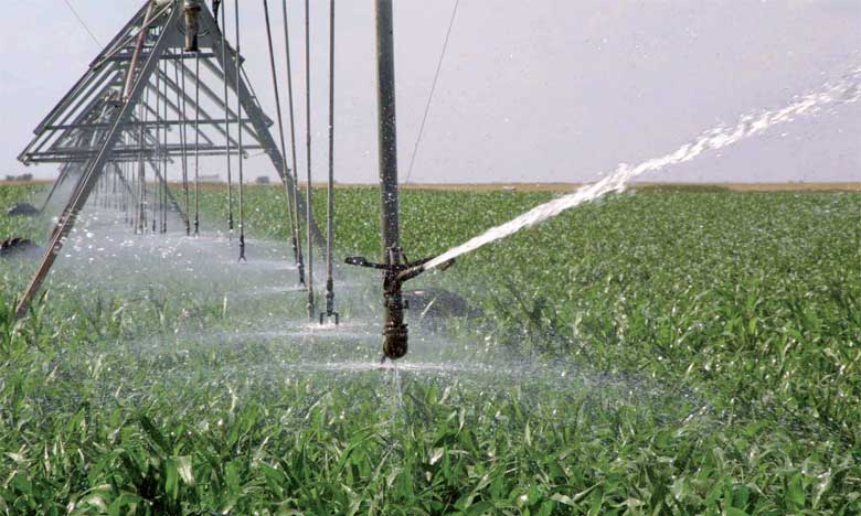 Produits du terroir : L'ADA renforce les capacités des groupements des producteurs