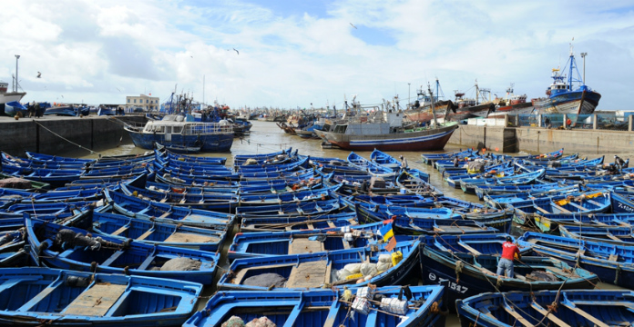 Pêche côtière et artisanale : hausse de 7% des débarquements à fin octobre