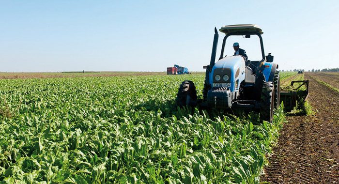 Subventions agricoles : Le ministère lance une plateforme électronique dédiée au dépôt des dossiers