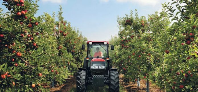 La production des filières fruitières prévue en hausse après le recul de la saison précédente