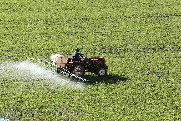 Fonds de développement agricole : Des subventions de 4,2 Mds de DH en 2021