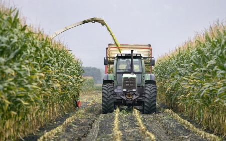 Génération Green: de nouveaux atouts pour faire émerger une classe moyenne rurale