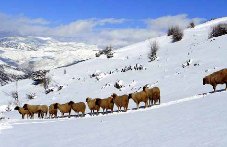 Vague de froid: des effets mitigés sur les filières