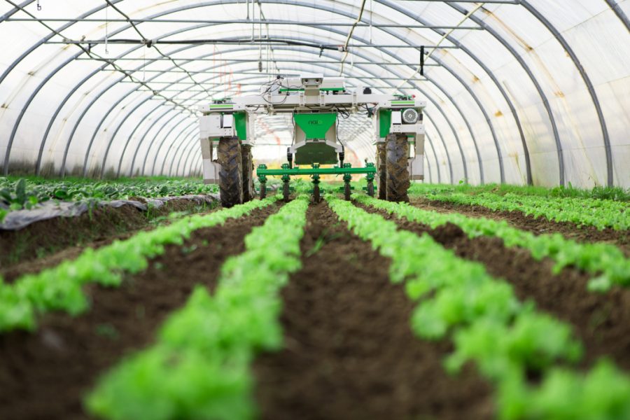 Generation Green: nouvelle vision pour l’agriculture solidaire