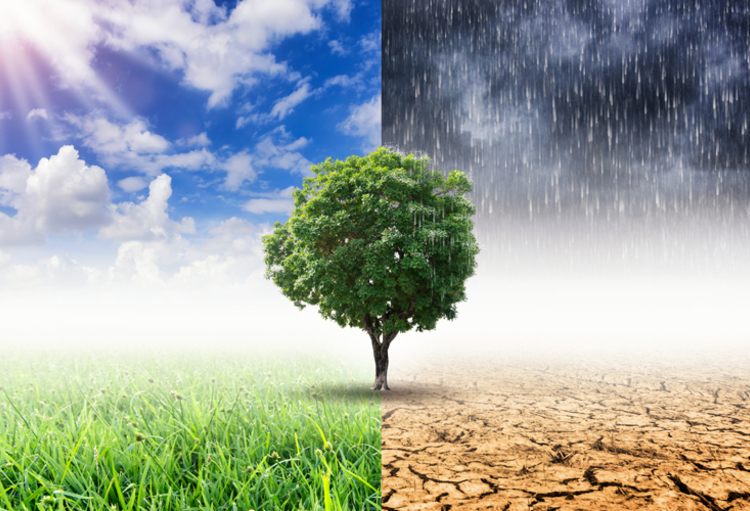 Changement climatique: L'ADA réaccréditée auprès du Fonds Vert pour le Climat