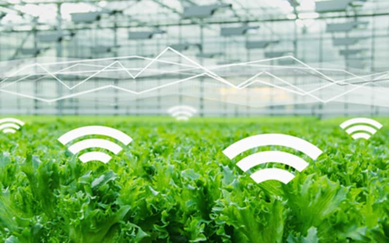 Smart Agriculture, une nouvelle technologie au profit des exploitants marocains