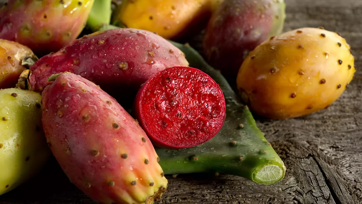 Figues de barbarie: la filière fortement impactée par la cochenille du cactus