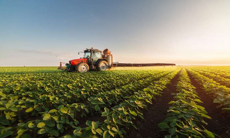 La valeur ajoutée agricole prévisionnelle devrait enregistrer une baisse de 14%