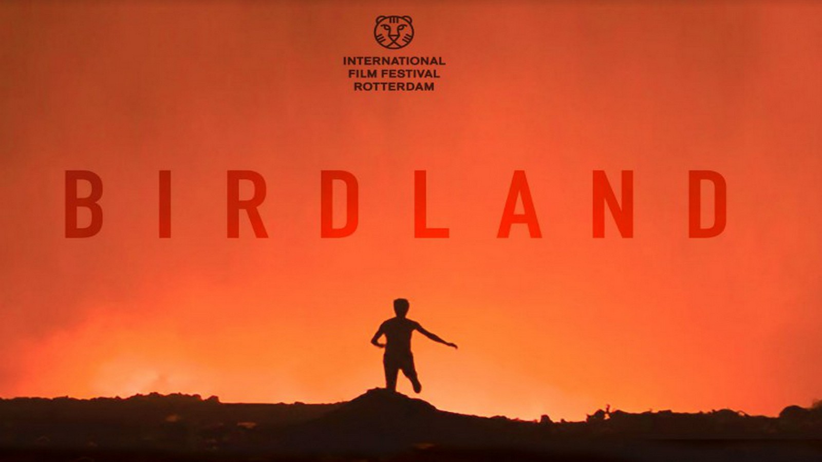 «Birdland» de Leila Kilani en sélection officielle au festival de Rotterdam