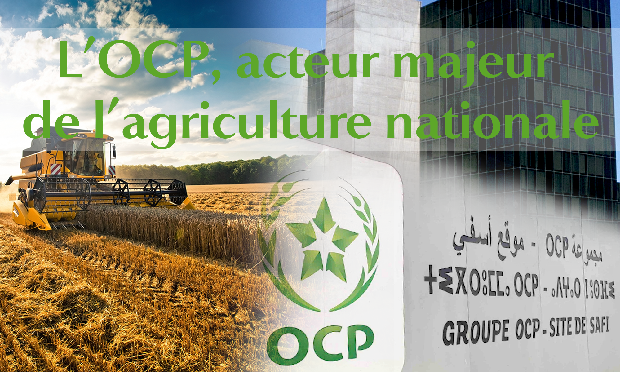 L’OCP, acteur majeur de l’agriculture nationale