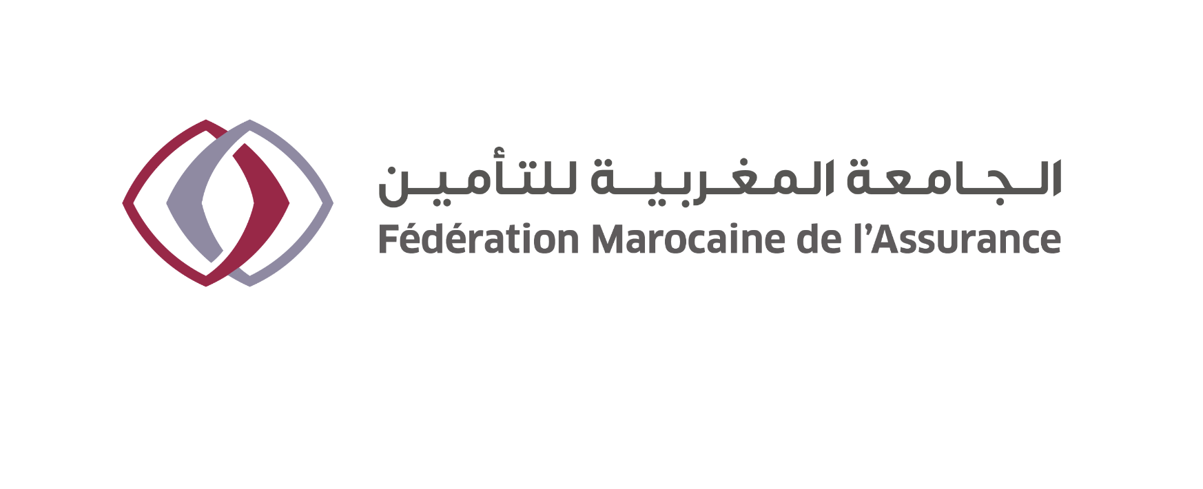 Assurance : la FMSAR devient la «Fédération Marocaine de l'Assurance» et annonce un nouveau comité directeur