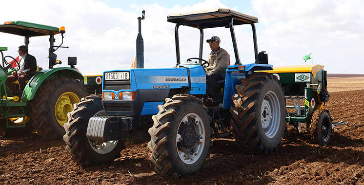 Semences sélectionnées de céréales: 1,1 million de quintaux mobilisés