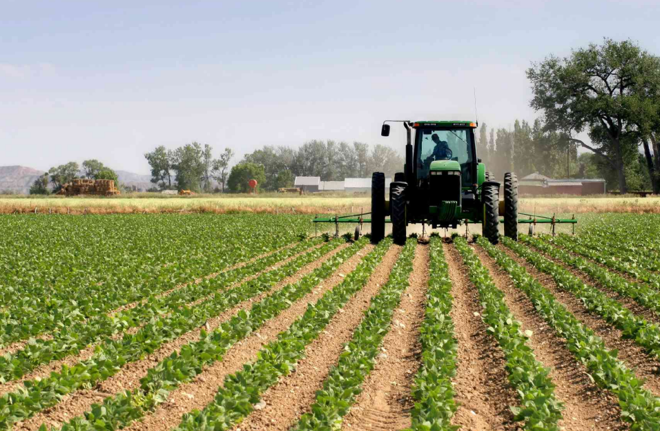 Conjoncture : les indicateurs macroéconomiques se portent bien, mais les fragilités demeurent