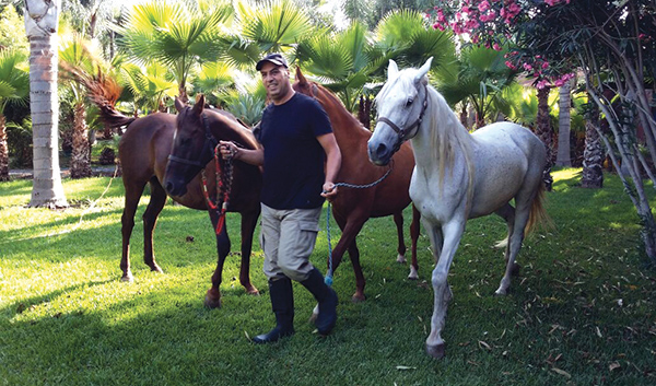 Coup de coeur : De la Bourse au cheval de course